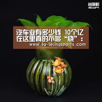 汽车业有多少钱 10个亿在这里真的不够“烧”:乐竞体育(图2) 乐竞体育官网首页